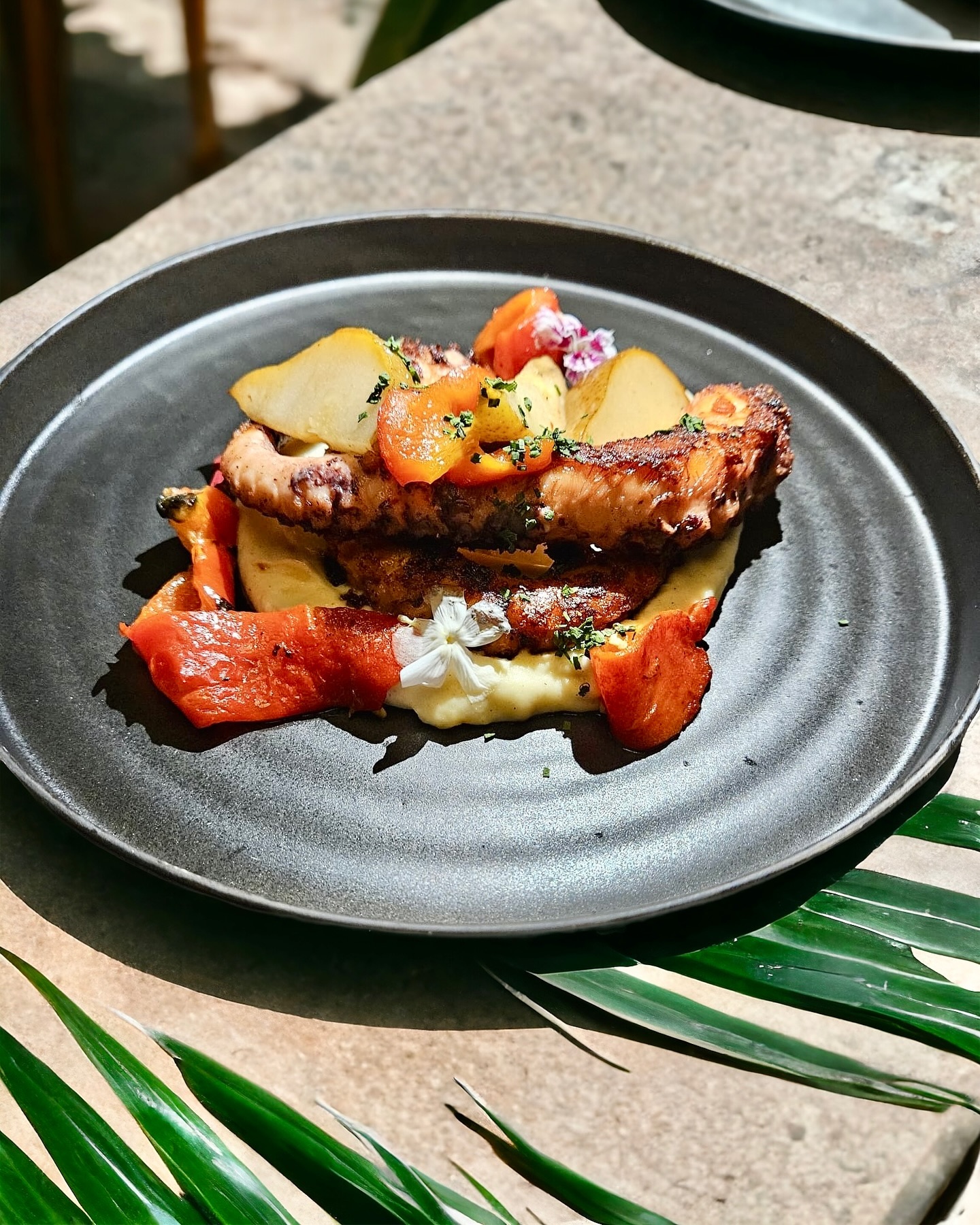 Grilled octopus on purée with peppers and herbs at Somewhere Dine Bar