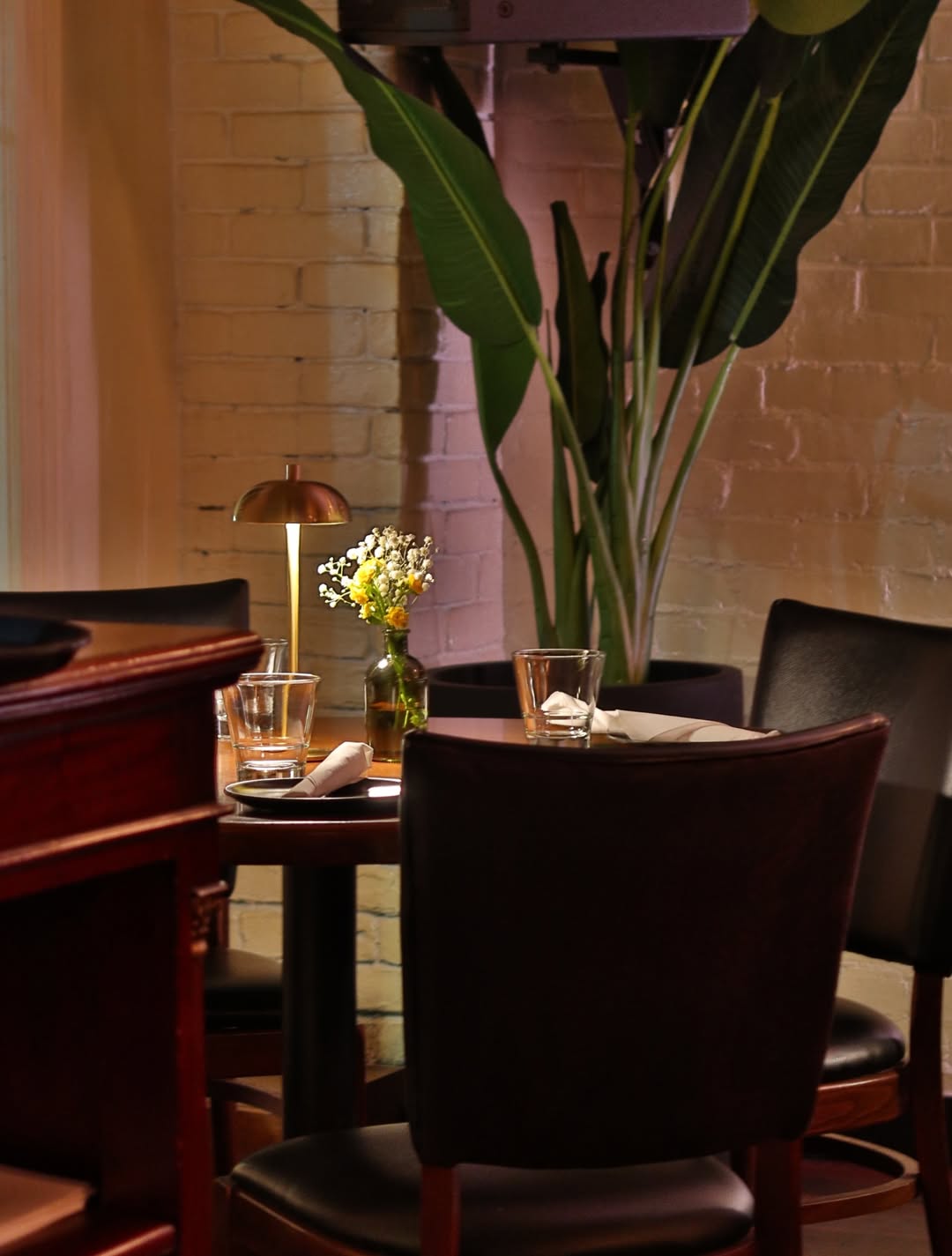 Dining room interior at Somewhere Dine Bar, Ottawa